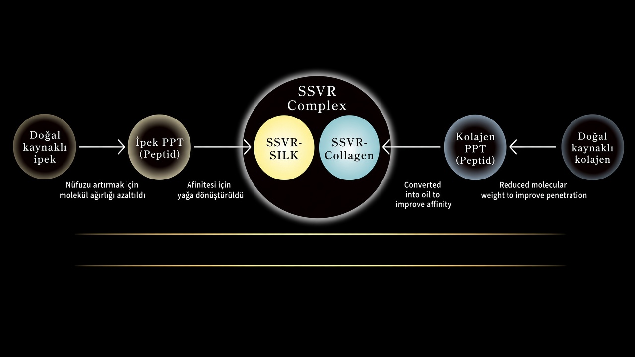 SSVR Complex